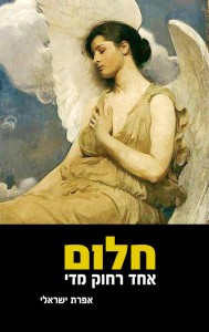 חלום אחד רחוק מדי תמונת כריכה קידמית